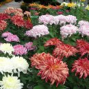 동래원예고등학교 이미지