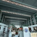 신행부분정비 | [Honeymoon] 한번은 꼭 가봐야한다는 ‘코사무이’ 7박 9일 신혼여행기 | 방콕 하얏트 리젠시 숙박후기