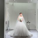 [공지] 💍 시작바이이명순 본식 드레스 셀렉 후기 (+ 2부 드레스까지)