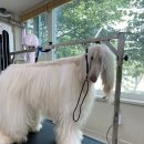 몽스빌리지 이미지