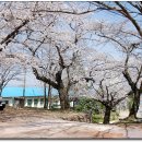 삼도남초등학교 이미지