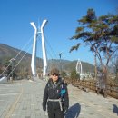 남도오백리역사숲길 이미지