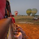 화이트벨리 이미지