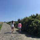 춘심이네 식당 네이버블로그