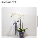 법원로3길 23 | 서초동 꽃집 ‘컨서버토리’ 서초 꽃다발 추천 내돈내산 후기