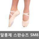 알롱제 이미지