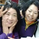 솔방1 이미지