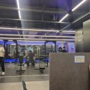 볼트짐휘트니스 | 대전 봉명동 헬스장 일일권, 가격, 24시 | 랩스휘트니스 유성점