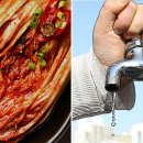 중앙호스