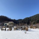 몽더가든