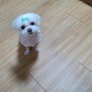 살롱드미미즈 이미지