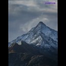 리연의원 이미지