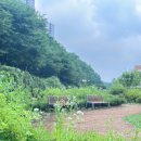 상대마을(향기마을) 이미지