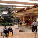 사우스코스트 이미지