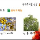 봄내유치원 이미지