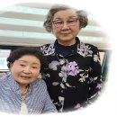 윤태금 복국 이미지