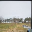 태안 오션뷰카페 추천 구례포해수욕장 앞 떼르꼬에서 즐긴 브런치 후기