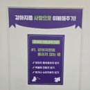 약지애견카페 서창점 | 약지애견카페 서창점 방문 후기 천사견들과의 행복한 시간