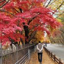 (주)지식발전소 | 무주 적상산 전망대 드라이브 코스, 이 뷰 하나로 모든 피로 끝장!(11/8일자 주차 꿀팁!)