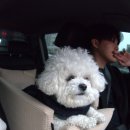 뿌리농장 | [강화도 체험농장카페] 아이·반려견·커플 모두 만족! ‘미타임 강화’ 솔직 후기