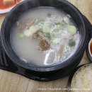 뱅뱅진주 | 이직 26주차 뱅뱅사거리 직장인 점심 후기. 금요일은 쉬어갑니다.
