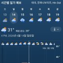 그린월드 Daum카페