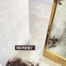 플랜에이치(신내점)