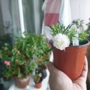 (주)네스팅 이미지