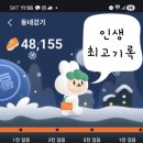 대로(보)2-1-2 네이버블로그