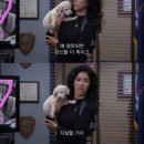 아이랜드 | 5년 전 플로우를 타는 여자가 있따? - 아이랜드 후기