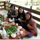 영선농장 이미지