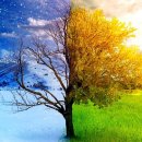 짐케이(GYM K) 이미지