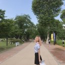 사진찍는날