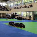 타이거합기도 이미지