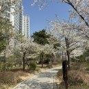 연세맘소아청소년과의원 이미지