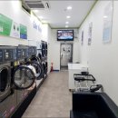 크린토피아(그린타운) 이미지