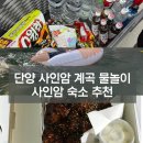 비비아나 펜션 | 단양 사인암 계곡 물놀이 후기 | 사인암 가성비 숙소 추천 | 단양 구경시장 먹거리