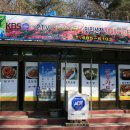 신광산장식당 이미지