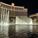 쇼펠리스 이미지