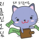 라임캣 네이버블로그