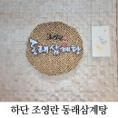 조영란동래삼계탕