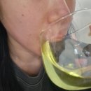 11215-자양2-500 | 비타500 이온킥 상큼한 ZERO 이온음료추천 에너지채워주는 비타민c