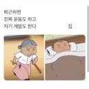 엔벨리노 | 3월 직장인 주말 일상-속눈썹 펌,토다서초,일본어공부,헬스장