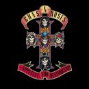 Guns N&#39; Roses - Paradise City 이미지