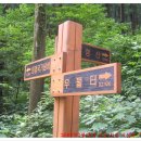 약우물터 이미지