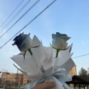[일상] 꽃 피는 봄에는