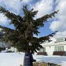 대아골프존 이미지