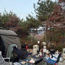 에코유 캠핑장 이미지