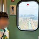 정읍역 | 뚜벅이 내장산 단풍구경 (1) 정읍역 물품보관소 택시 이동 요금