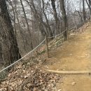 방배도서관 | [도서관] 서초구립방배숲환경도서관 후기ㅣ조용한 숲속 도서관 추천